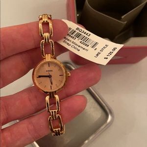 Women brand new fossil